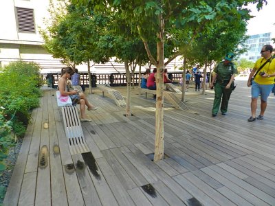 DSCN1009.jpg
