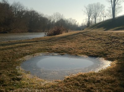 IMG_2925.jpg