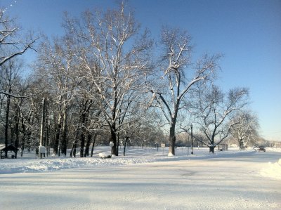 IMG_2990.jpg