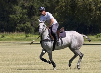 Fairfield PoloPractice