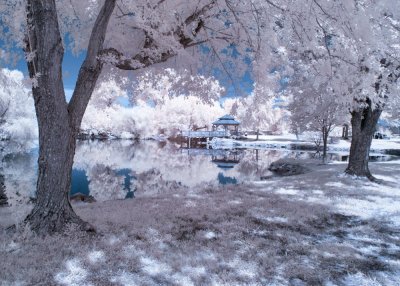 Infrared Photos - Gallery