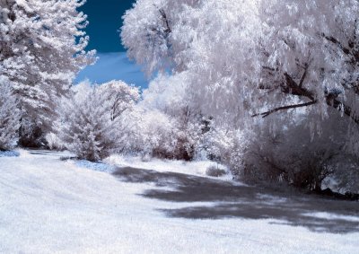 Infrared Photos - Gallery