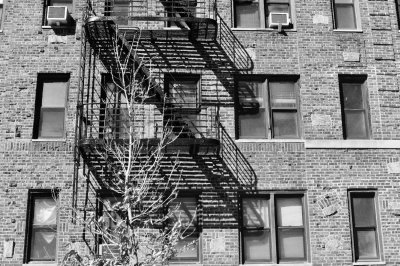 DSC_5032.jpeg