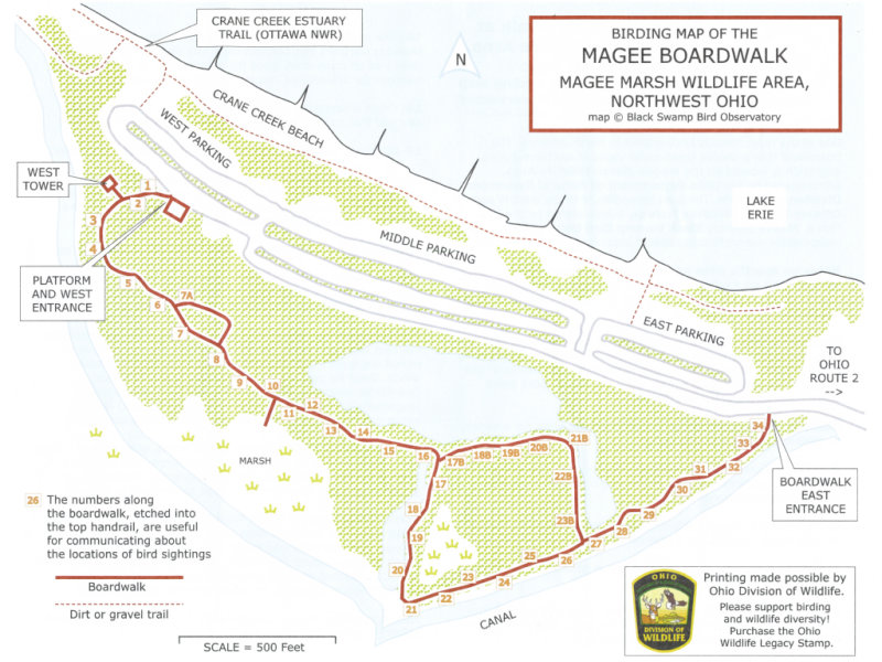 Map of Magee Marsh boardwalk area