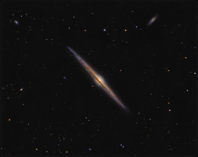 NGC 4565 with friends