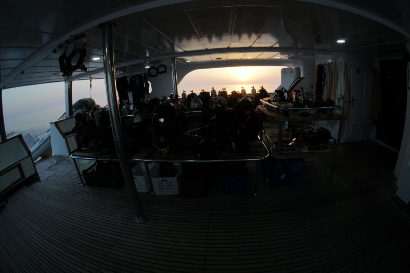 DSC05058_resize.JPG