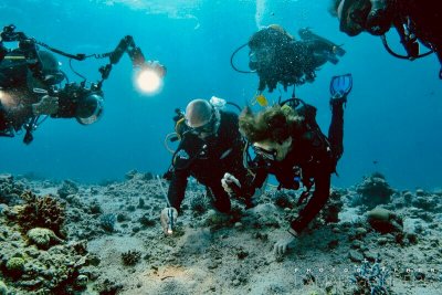 diving with Sylvia Earle in the Red Sea.