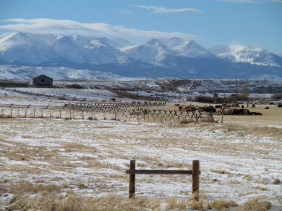 IMG_0050.JPG