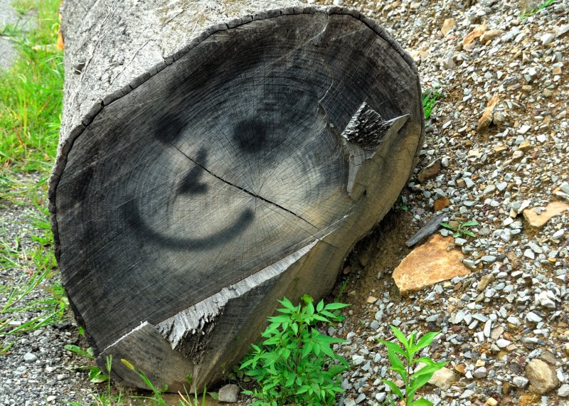 BOB_8187.jpg
