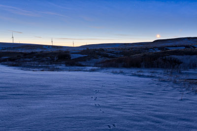 Paint Mines snow sunrise 1