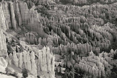 Bryce Canyon rocks 2