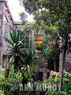The Outside of Frida's studio