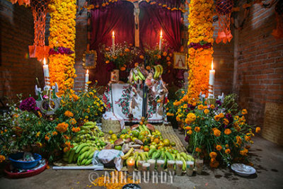 Altar for difunto in Santa Fe de Laguna