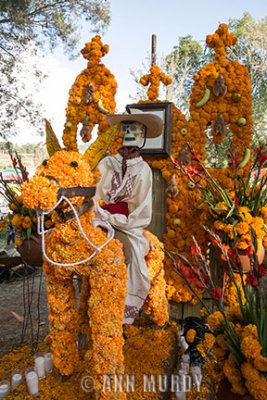 Tomb with calavera on burro