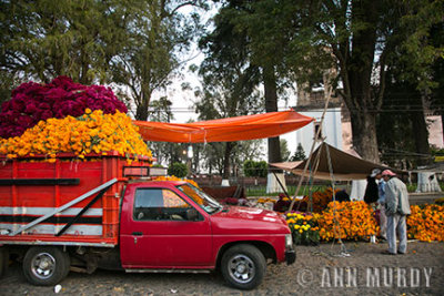 Truck bringing in flowers