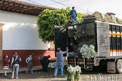 Unloading truck full of flowers