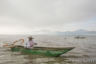 The Butterfly Fisherman with marigolds