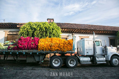 Semi-truck full of flowers