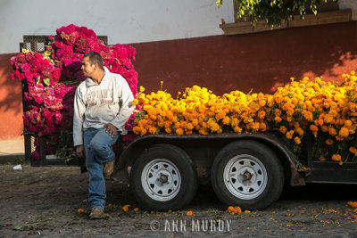 Vendor selling celosia and marigolds