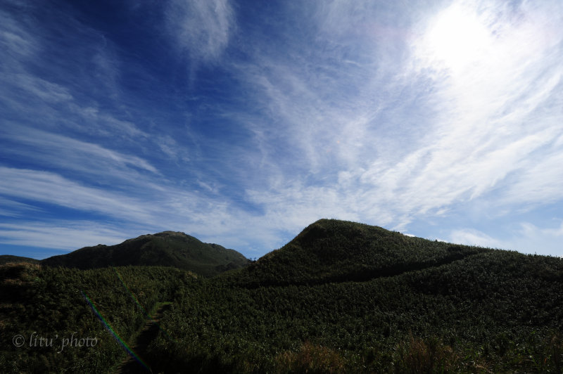 DSC_0732.jpg