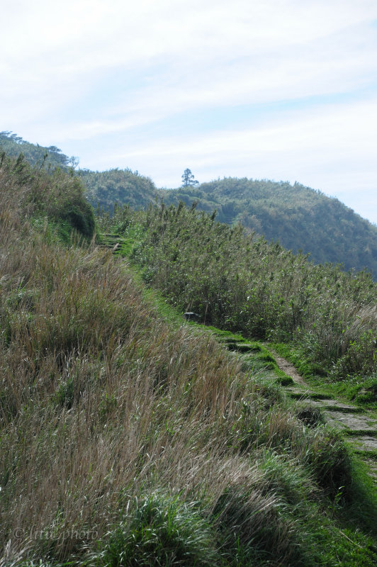 DSC_0720.jpg