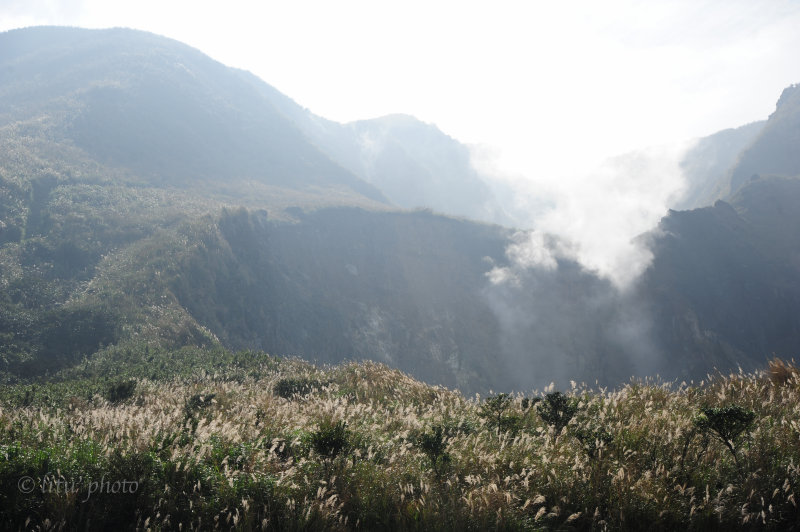 DSC_0683.jpg
