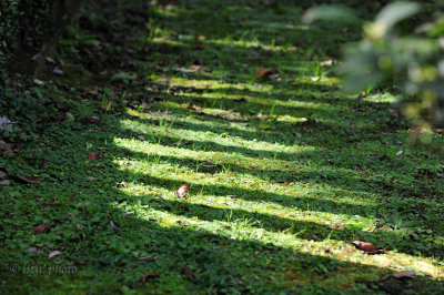 DSC_0768.jpg