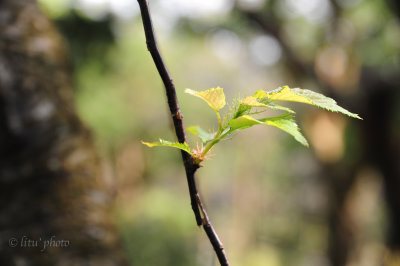 DSC_0760.jpg