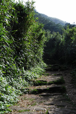 DSC_0724.jpg