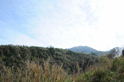 DSC_0721.jpg