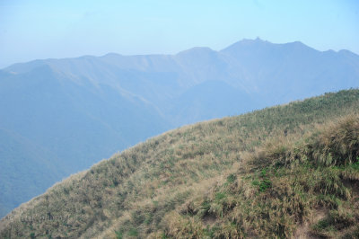 DSC_0718.jpg