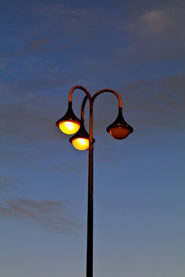 IMG_316522.jpg