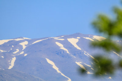 IMG_316681.jpg