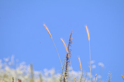 IMG_316846.jpg
