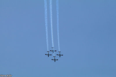 IMG_336017.jpg