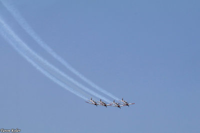 IMG_336019.jpg