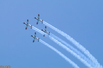 IMG_336043.jpg