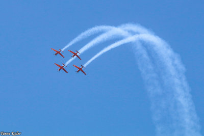 IMG_336065.jpg