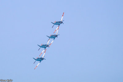 IMG_336111.jpg