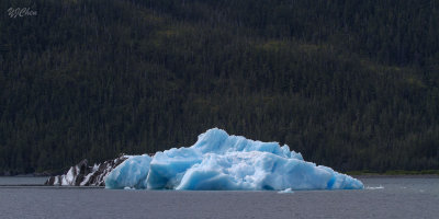 160706_Valdez_iceberg_large_blue_1305m.jpg