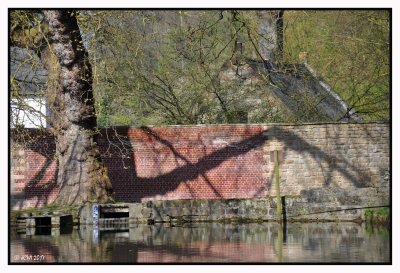 Etang du moulin 