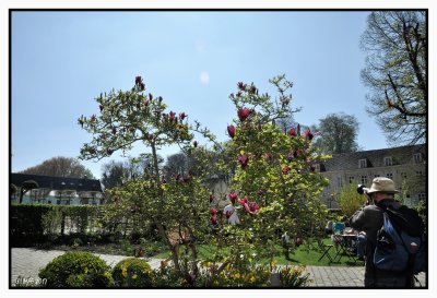 Magnolia rouge + JC dans le jardin des Moines