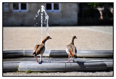 Fait chaud hein ! Germaine ^^^^