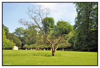 BALADE AU JARDIN LE 22 MAI 2017  SOLEIL T° NORMAL ;)