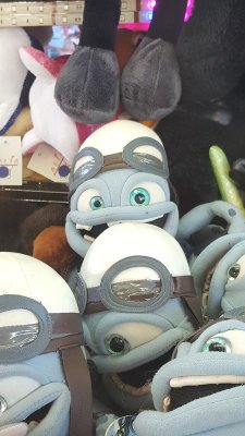 20170610_192155.jpg