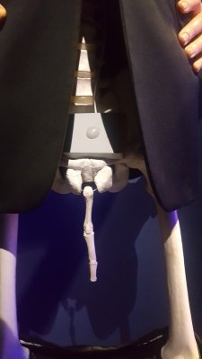 20170611_135910.jpg