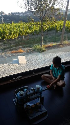 20170817_073841.jpg