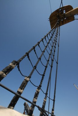 IMG_5173.JPG