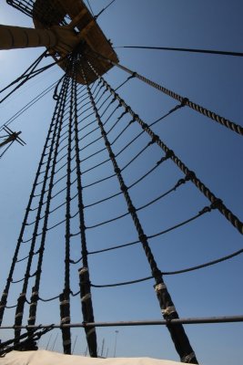 IMG_5176.JPG