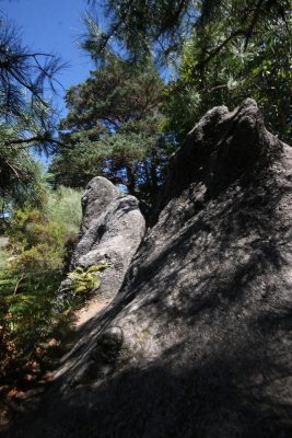 IMG_7574.JPG